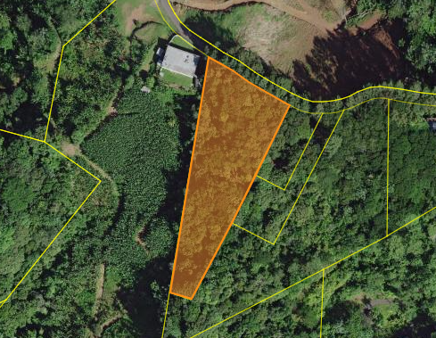 Imagen de Bo. Espino