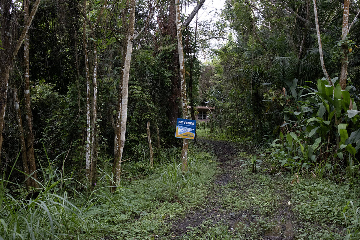 Imagen de Bo. Borinquen