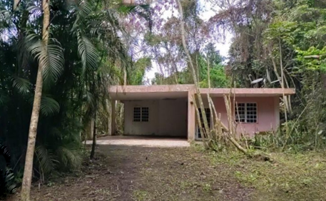 Imagen de Bo. Borinquen