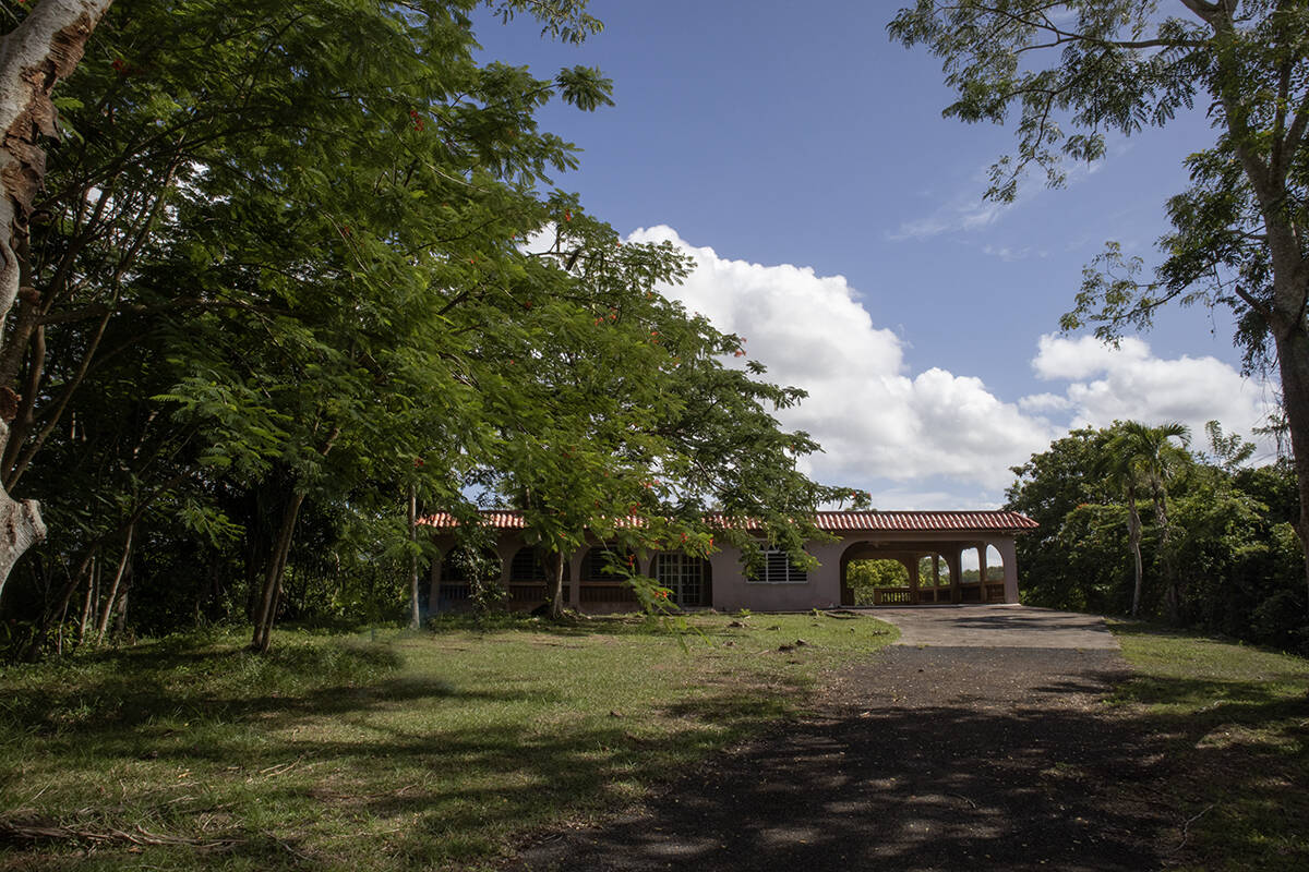 Imagen de Bo. Mamey II