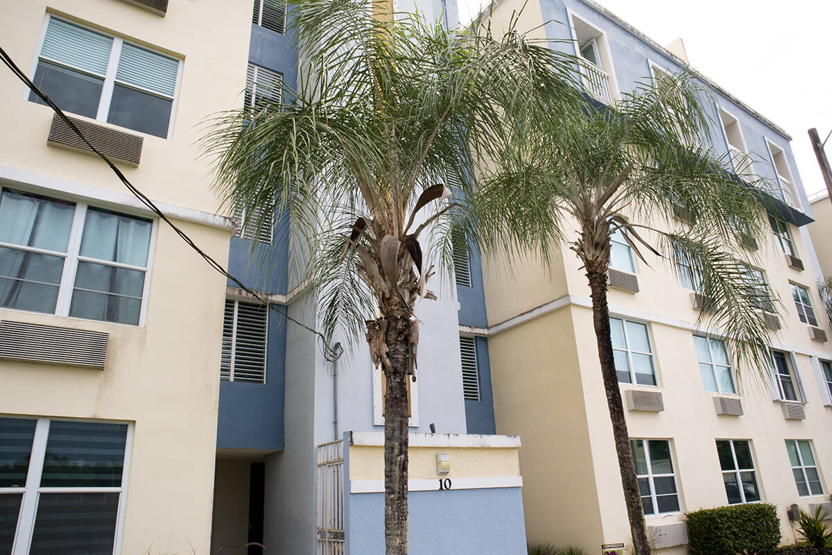 Imagen de Cond. Alondra