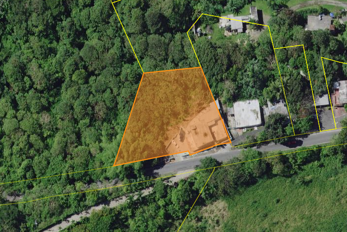 Imagen de Bo. Los Lirios